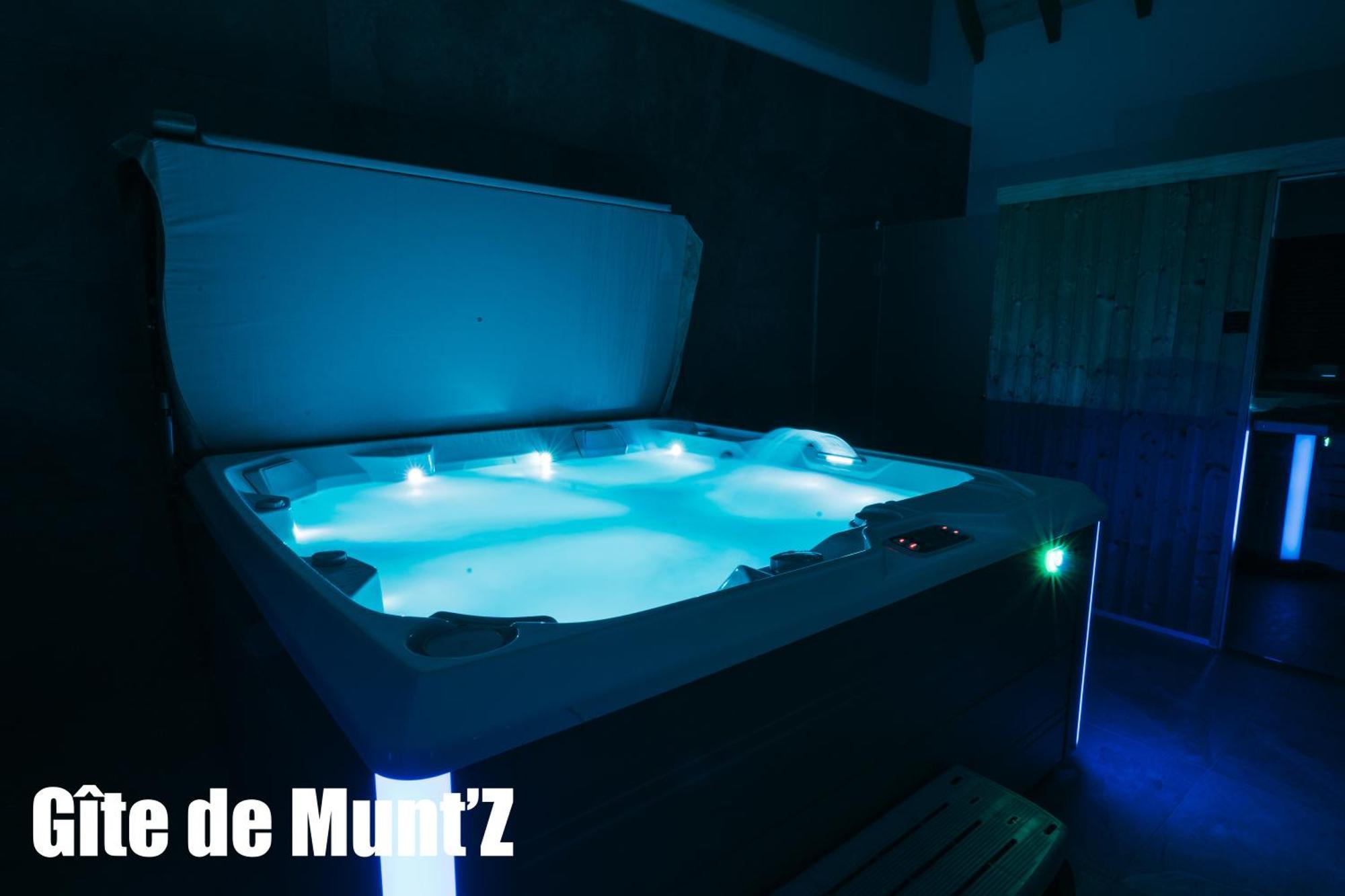 Gite De Munt'Z Spa, Sauna, Piscine, Proche De Colmar Muntzenheim ภายนอก รูปภาพ